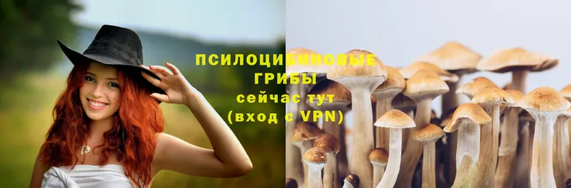 сколько стоит  Лабытнанги  Псилоцибиновые грибы Psilocybe 